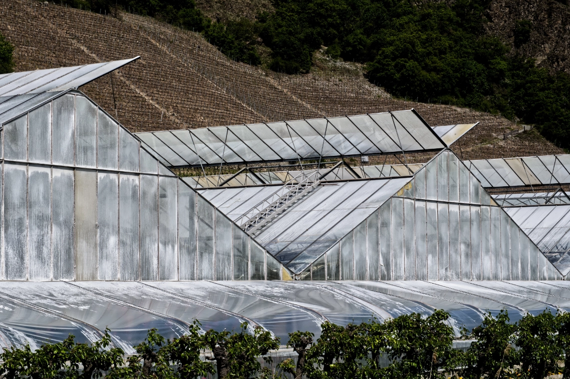 Branson-Saillon290425-55