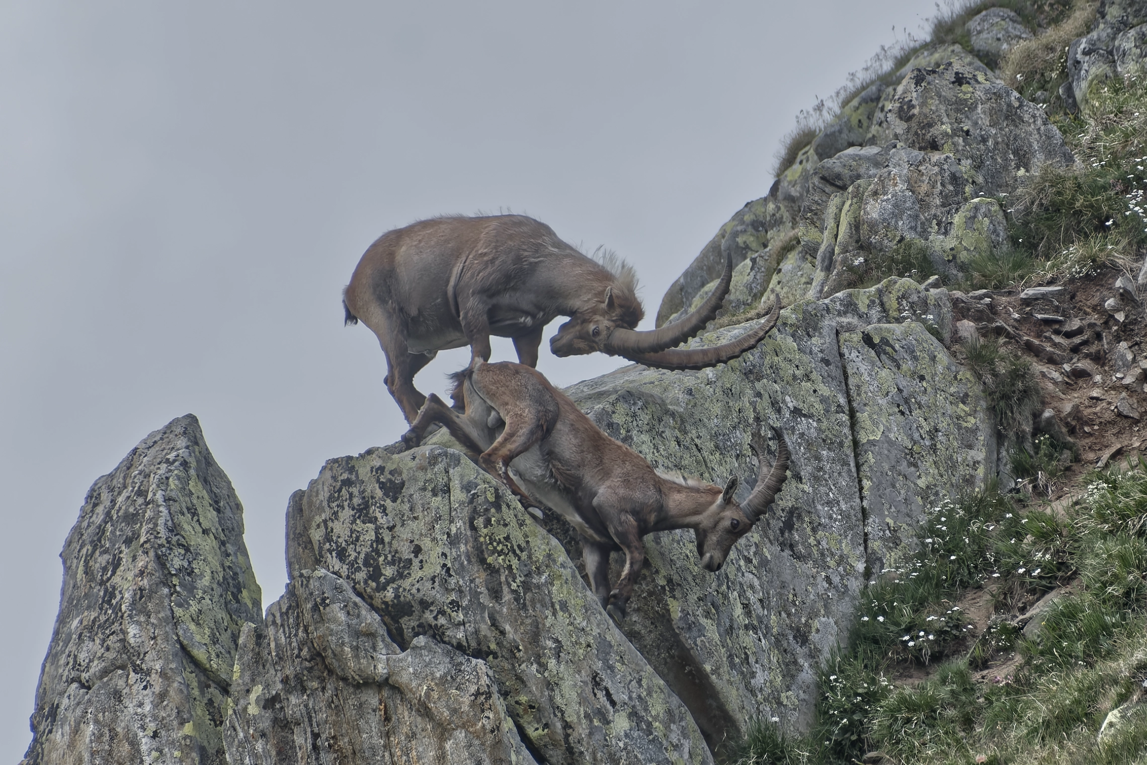 Nufenenpass090726-239